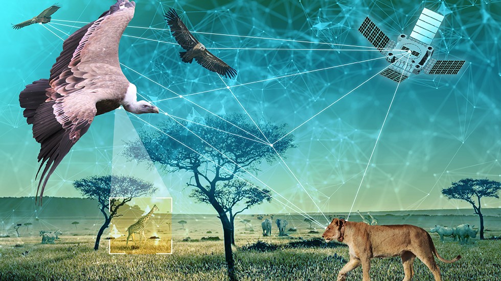 Climate monitoring showing environmental patterns from space